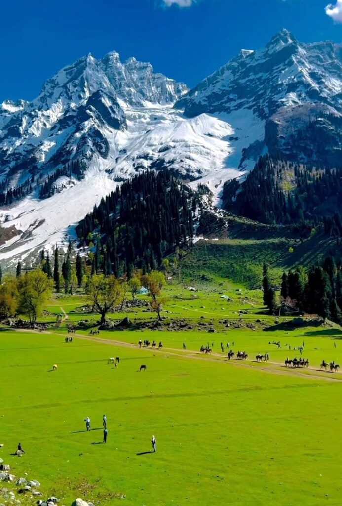 best travel agency in north india